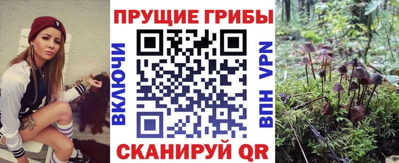 где найти наркотики  Солнечногорск  Псилоцибиновые грибы Cubensis 