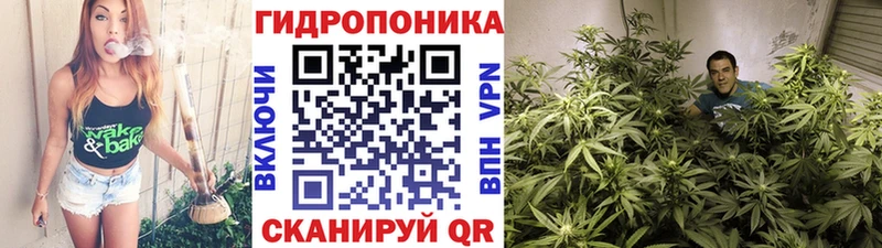Бошки Шишки гибрид  shop формула  Солнечногорск 